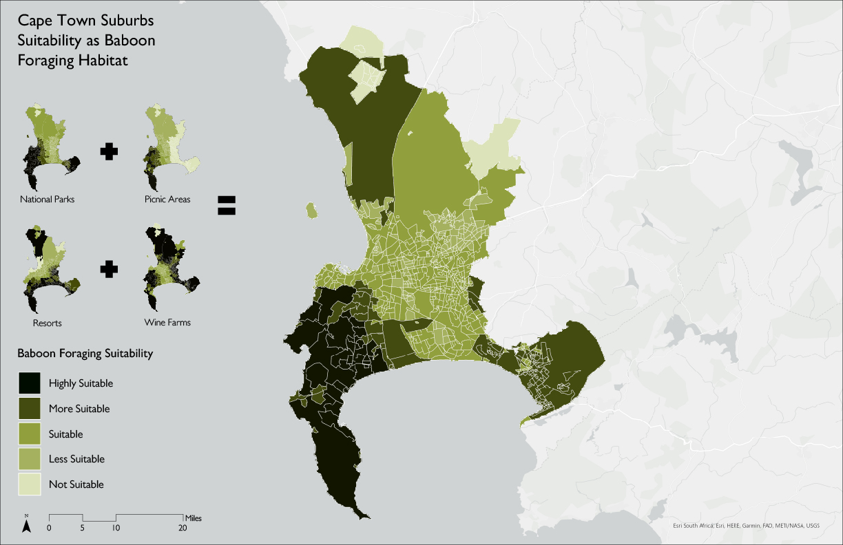 Suitability Analysis