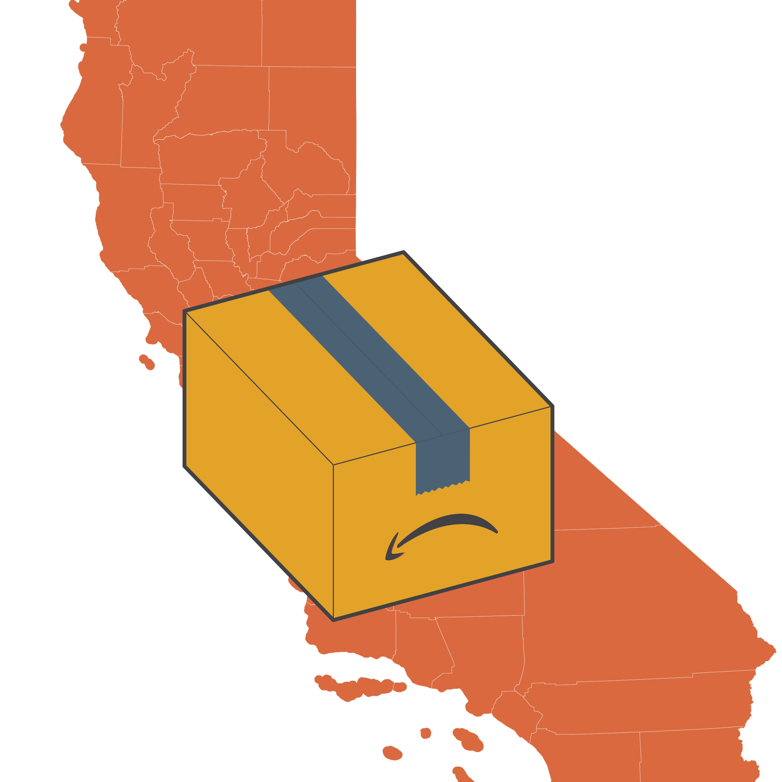 Amazon: A Question of Distribution
