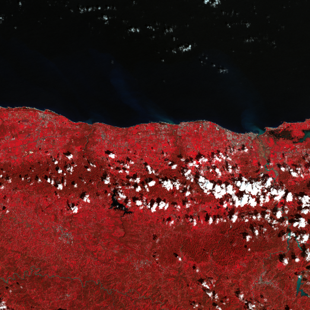 description of image